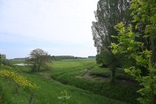 DSC_3600.jpg