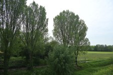 DSC_3601.jpg