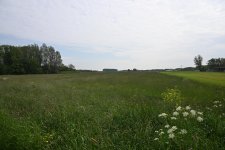 DSC_3604.jpg
