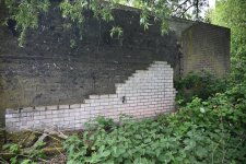 DSC_3608.jpg