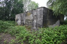 DSC_3609.jpg