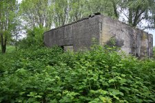 DSC_3612.jpg