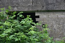 DSC_3615.jpg