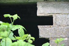 DSC_3617.jpg