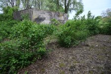DSC_3618.jpg