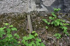 DSC_3621.jpg