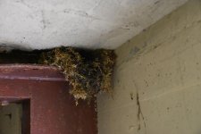 DSC_3648.jpg