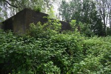 DSC_3649.jpg