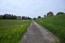 DSC_3650.jpg