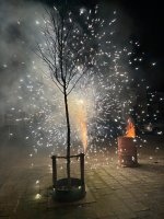 IMG_5535.jpeg