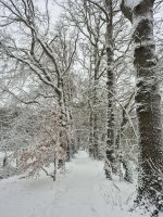 IMG-20260107-WA0008.jpg