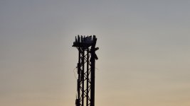 1000221207.jpg