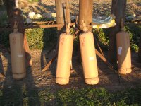 Adelfia 9 november 2018 opbouw dagshow Vincenzo Senatore. IMG_3909 (1).JPG