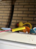 IMG_0578.jpeg