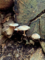 afbeelding_2026-10-04_181959646.png