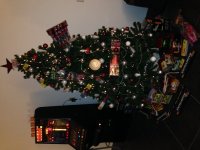 IMG_4654.jpg