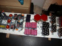 DSC01573.jpg
