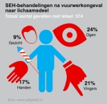 SEH-behandeling%20naar%20lichaamsdeel%2014-15.png