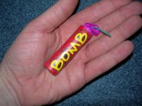 DSCN4761.jpg