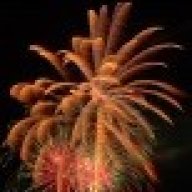 Palm Tree