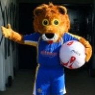 vuurwerk zevenaar crew