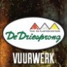 De Driesprong