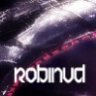 RobinvdVW