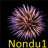Nondu1