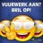 VuurwerkCheck