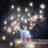 Tom_ztm